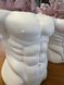 Гіпсове кашпо &laquo;Torso Man&raquo; &ndash; декоративне кашпо у формі чоловічого торса, 8 см р0016 фото 6
