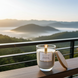 Аромасвічка WILD FIG & CEDARWOOD с003 фото 5