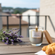 Аромасвічка WILD FIG & CEDARWOOD с003 фото 4