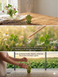 Ароматичний дифузор &laquo;Spring Garden&raquo; 100 ml 0011 фото 5